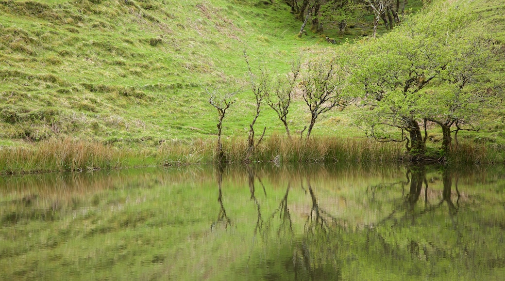 Isle of Skye presenterar en damm och stillsam natur