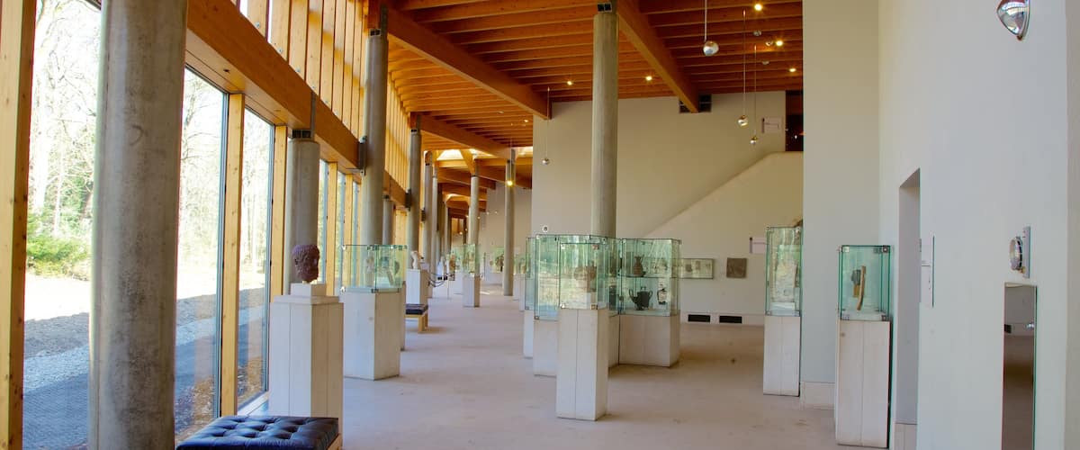 Burrell-collectie inclusief kunst