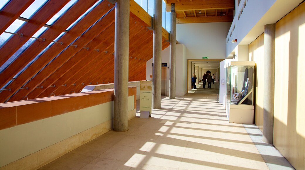 Burrell Collection