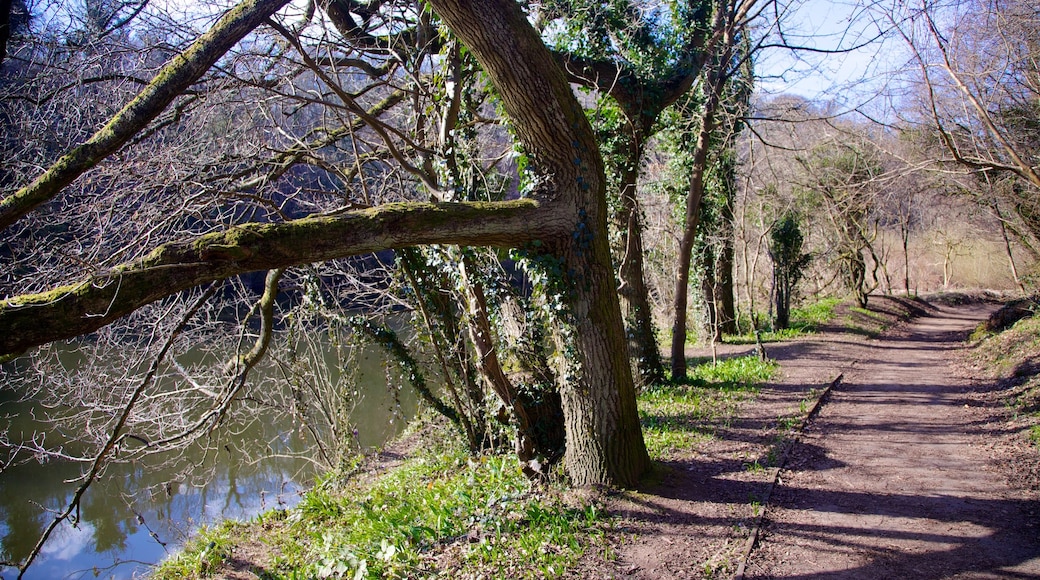 Bothwell Castle som viser en flod eller et vandløb