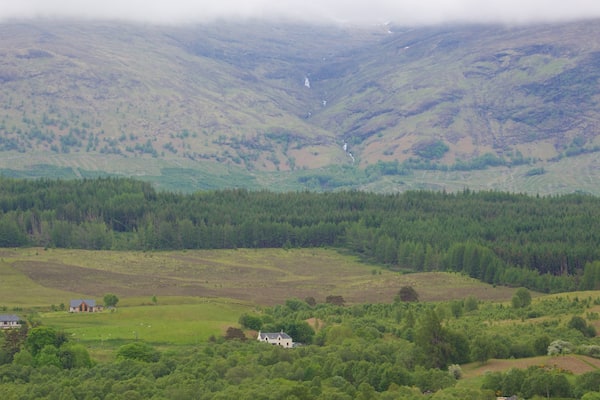 Ben Nevis mit einem Waldmotive, ruhige Szenerie und Berge