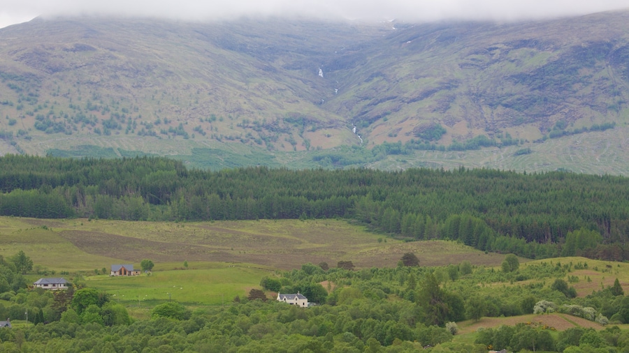 Ben Nevis presenterar stillsam natur, berg och skogar