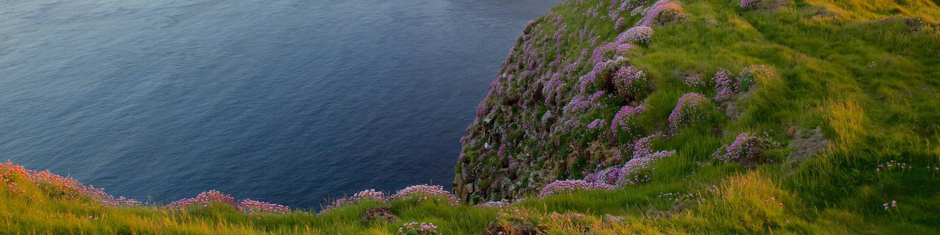 Duncansby Head som visar klippig kustlinje, stillsam natur och kustutsikter