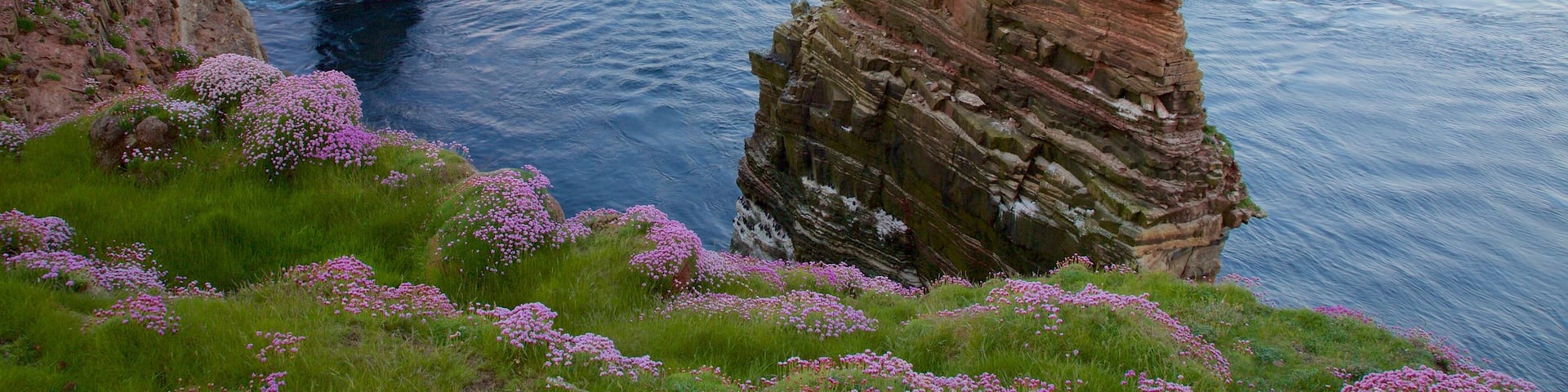 Duncansby Head ofreciendo costa rocosa