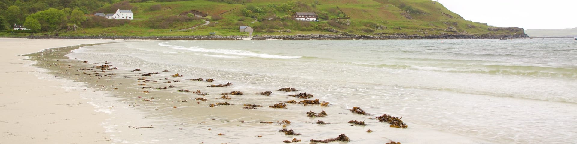Calgary Bay Beach which includes tranquil scenes, general coastal views and a sandy beach