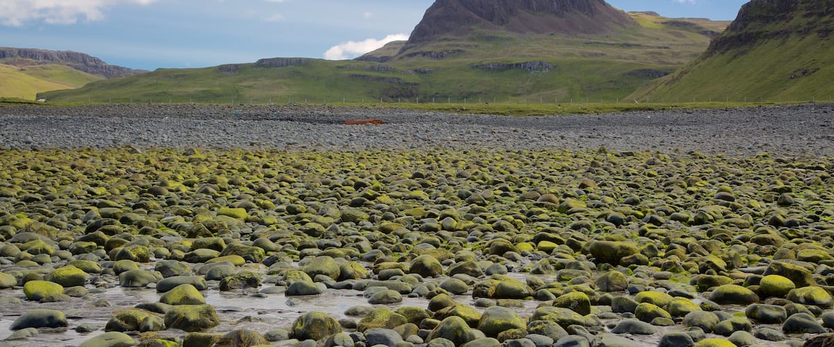 ์์ผ ์ค๋ธ ์ค์นด์ด ์ด ํฌํจ ํ์ ํ ํ๊ฒฝ