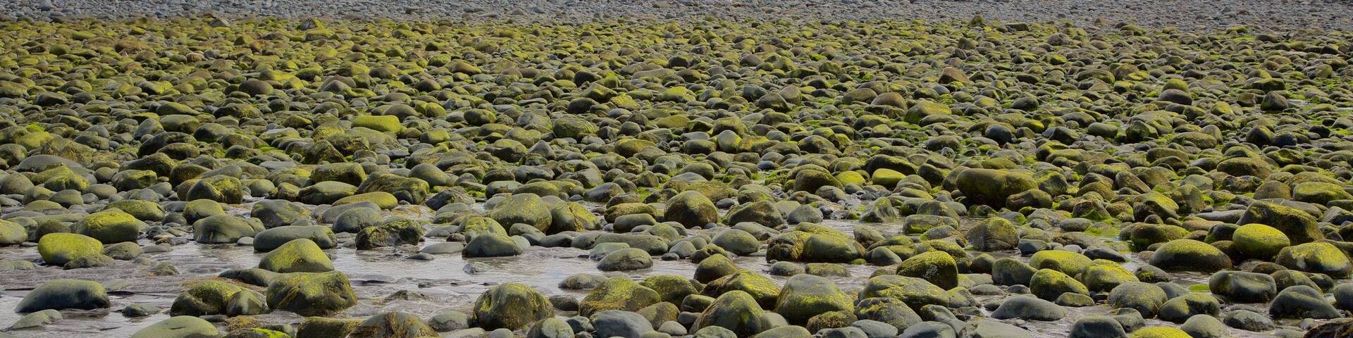 Isle of Skye showing tranquil scenes