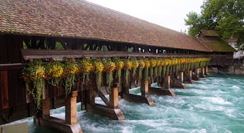 Canton de Berne mettant en vedette pont