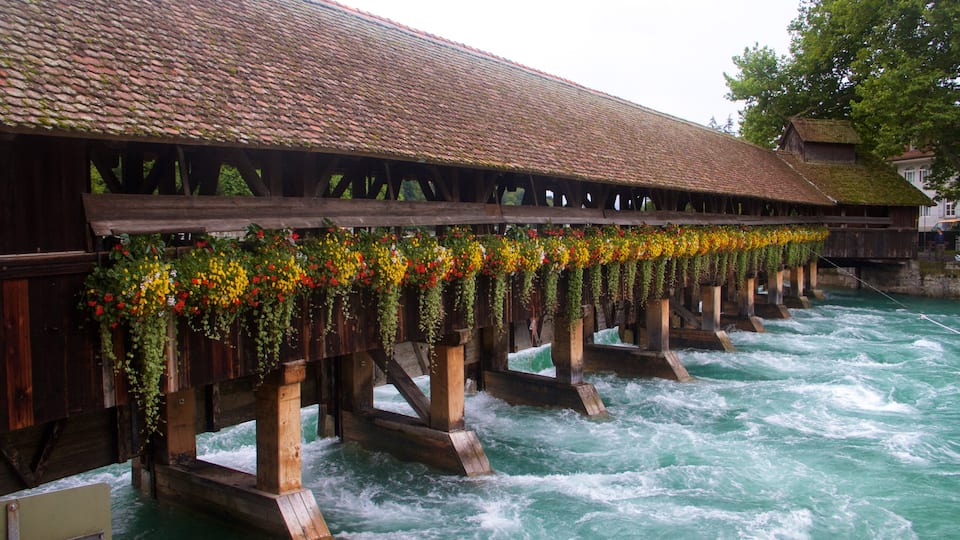 Bern which includes a bridge