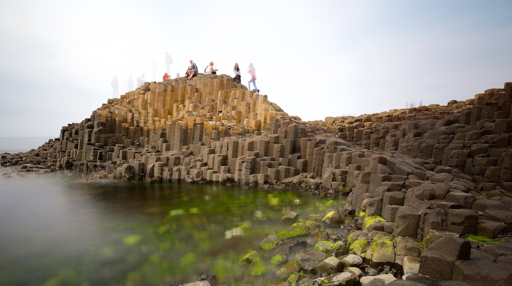 Giant\'s Causeway showing a monument, rocky coastline and heritage elements