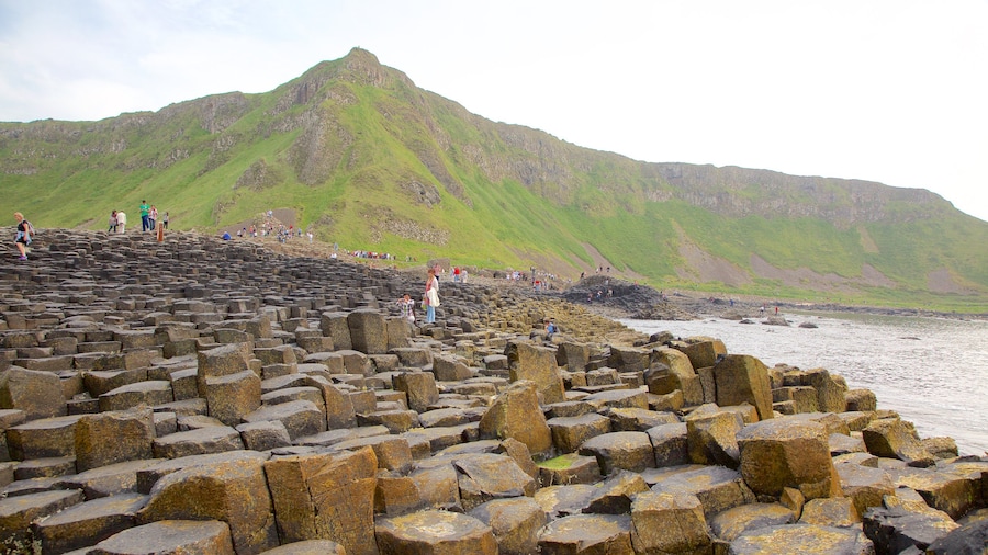 Giant\'s Causeway which includes general coastal views, rugged coastline and a monument