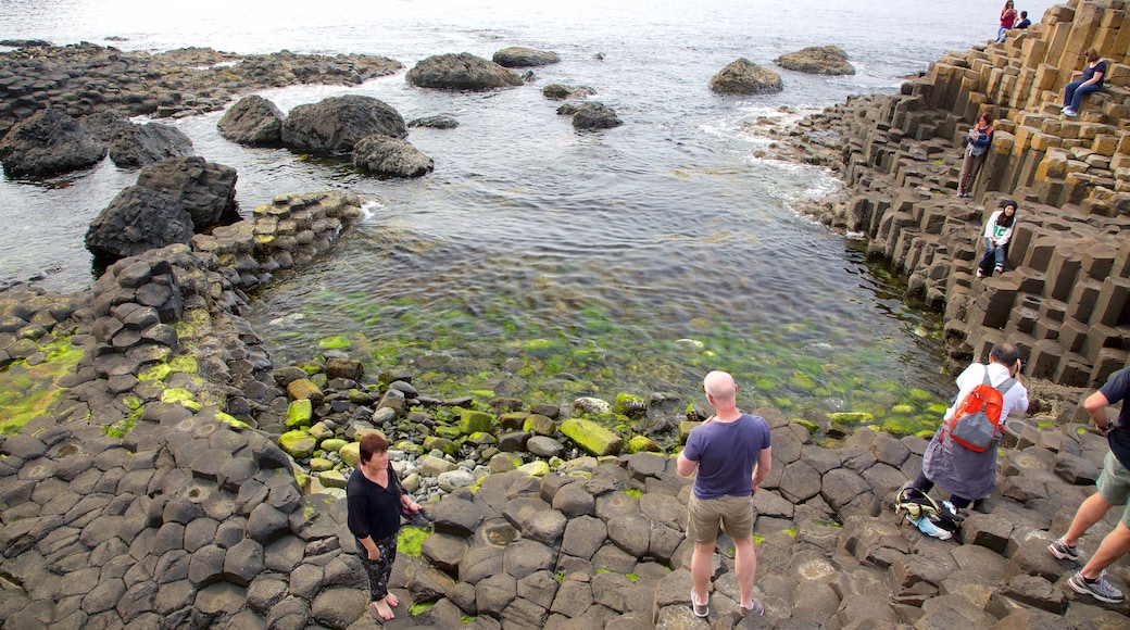 Giant\'s Causeway que incluye costa rocosa, elementos del patrimonio y vistas generales de la costa