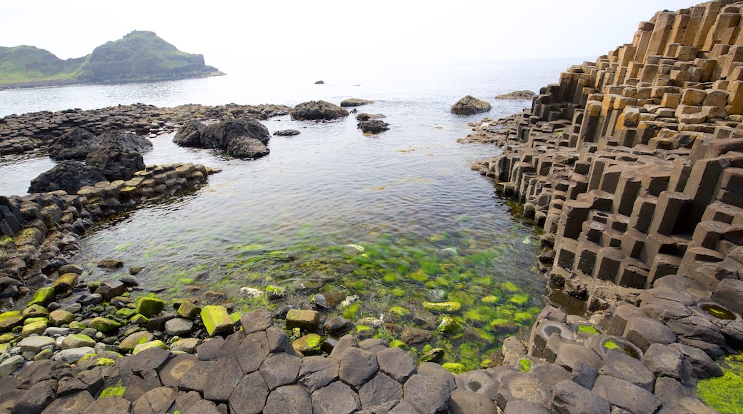 ブッシュミルズ