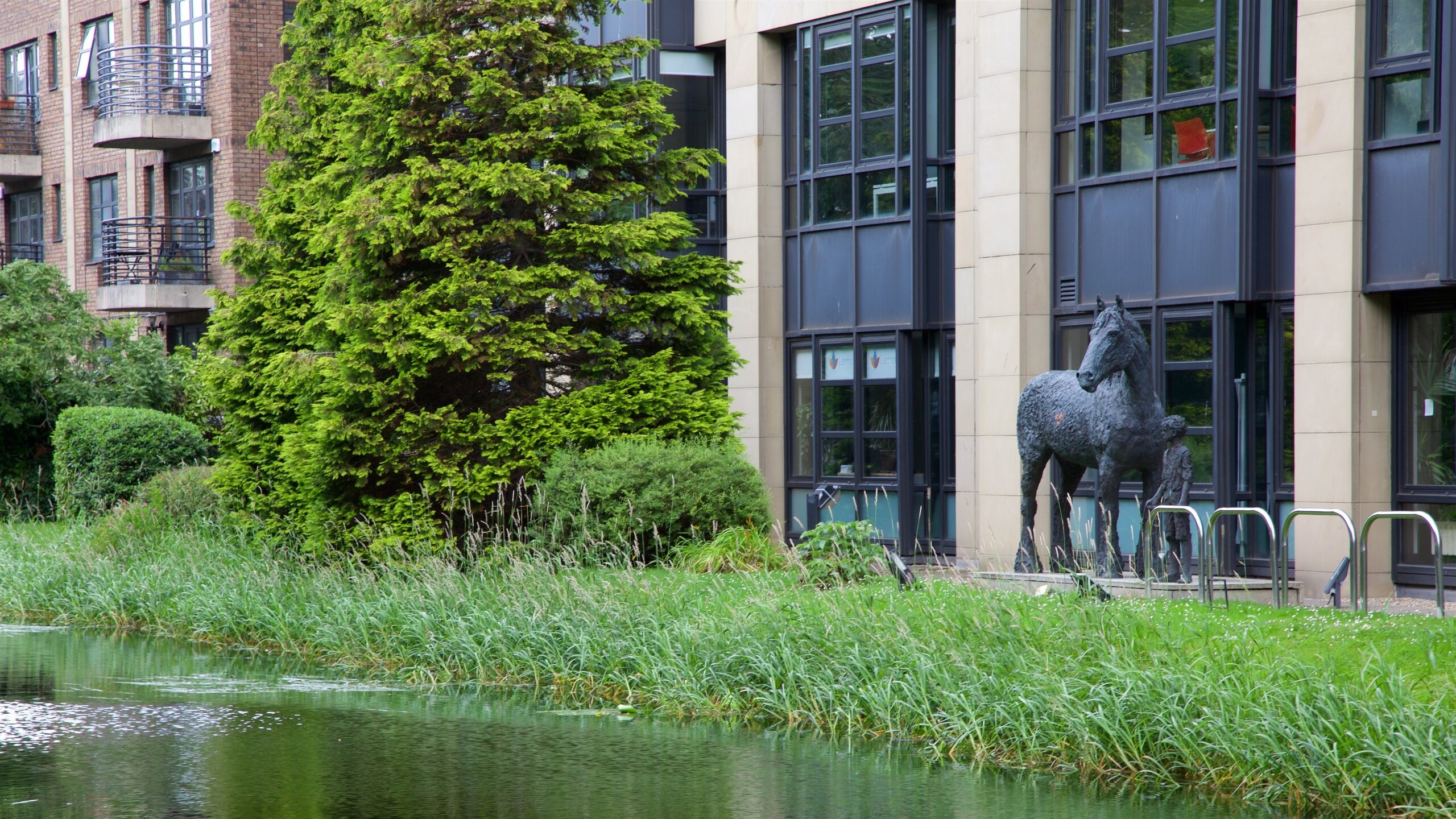 Dublín mostrando un río o arroyo y una estatua o escultura