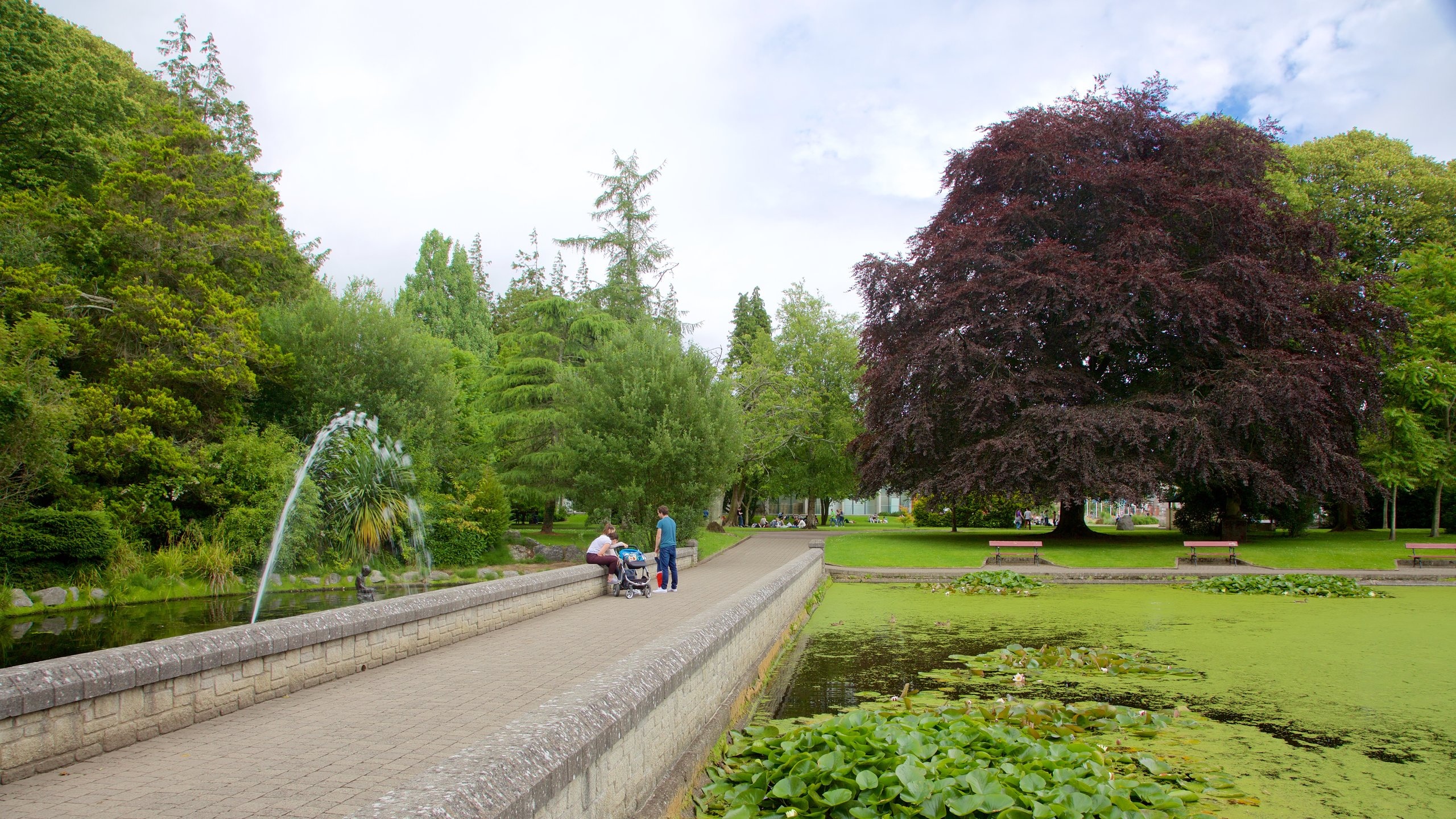 Fitzgerald Park, Cork Vacation Rentals house rentals & more Vrbo