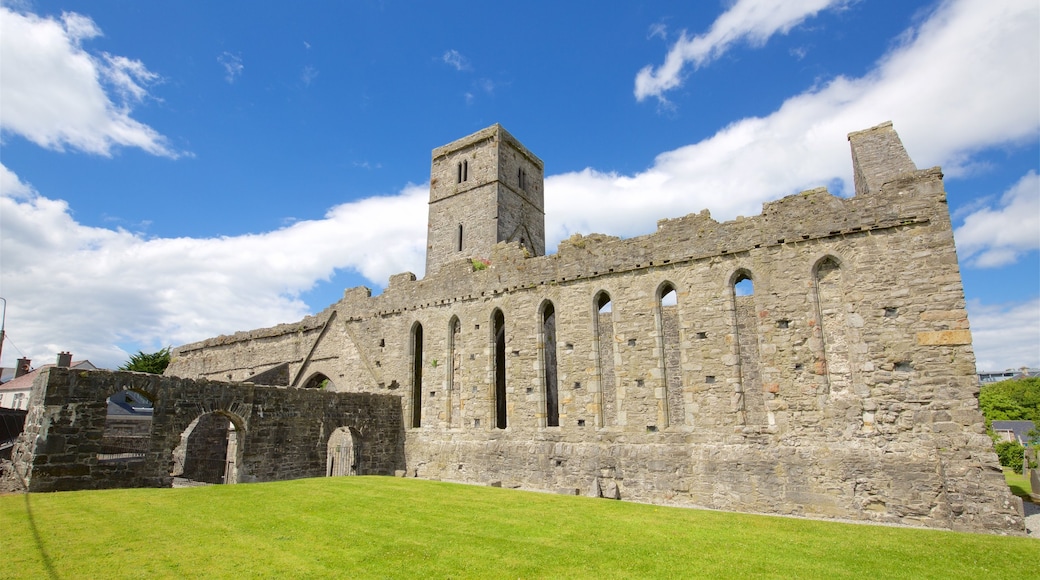 Sligo Abbey which includes a ruin, a castle and heritage architecture