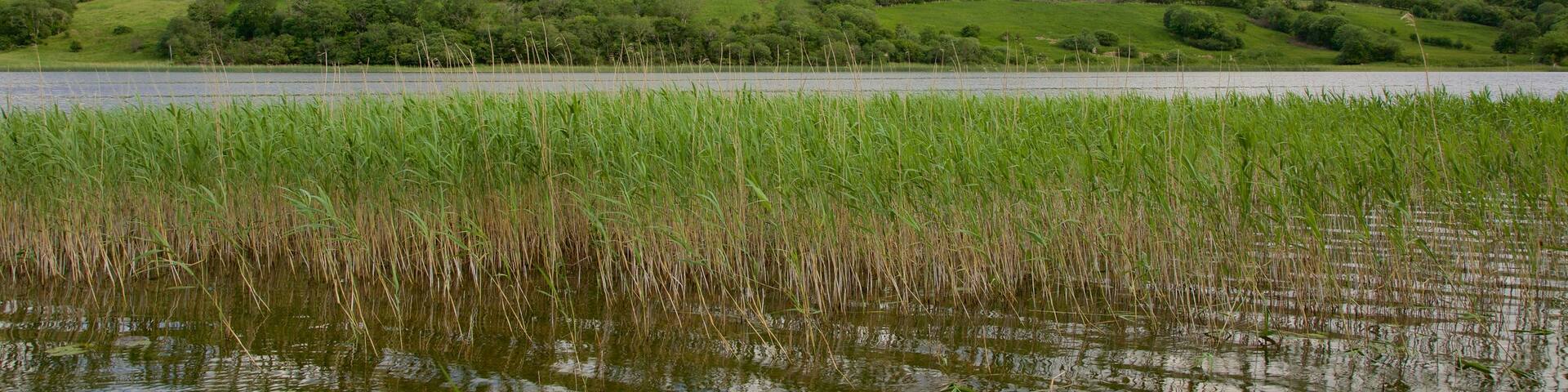 Sligo montrant montagnes, riviĂšre ou ruisseau et panoramas