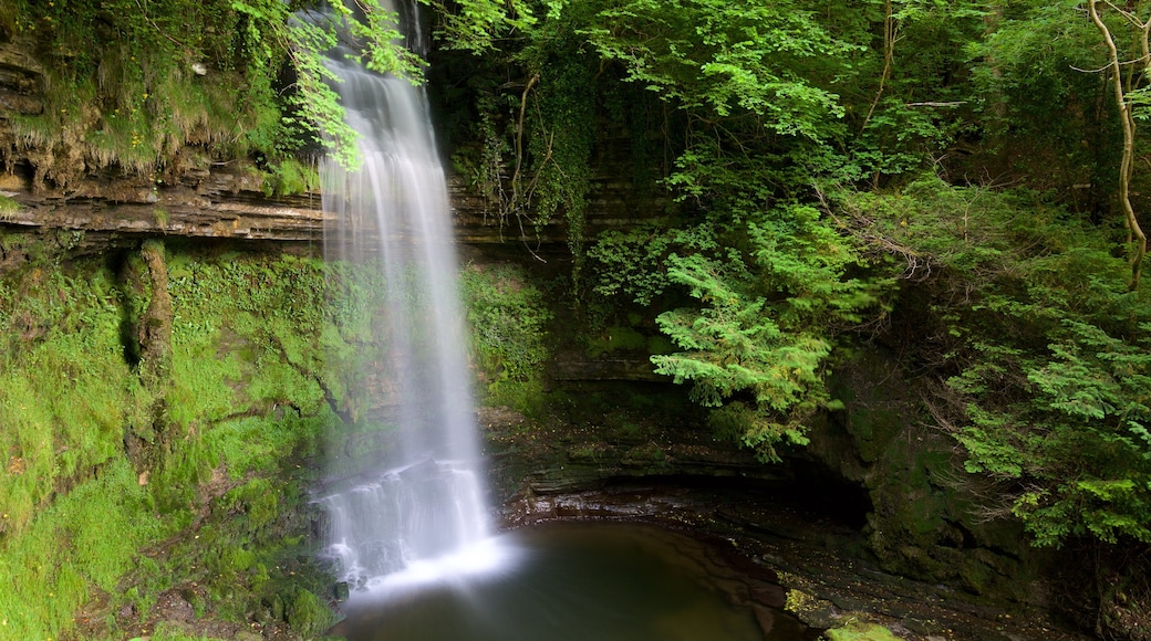 Glencar Waterfall mostrando lago o sorgente d\'acqua, cascata e paesaggio forestale