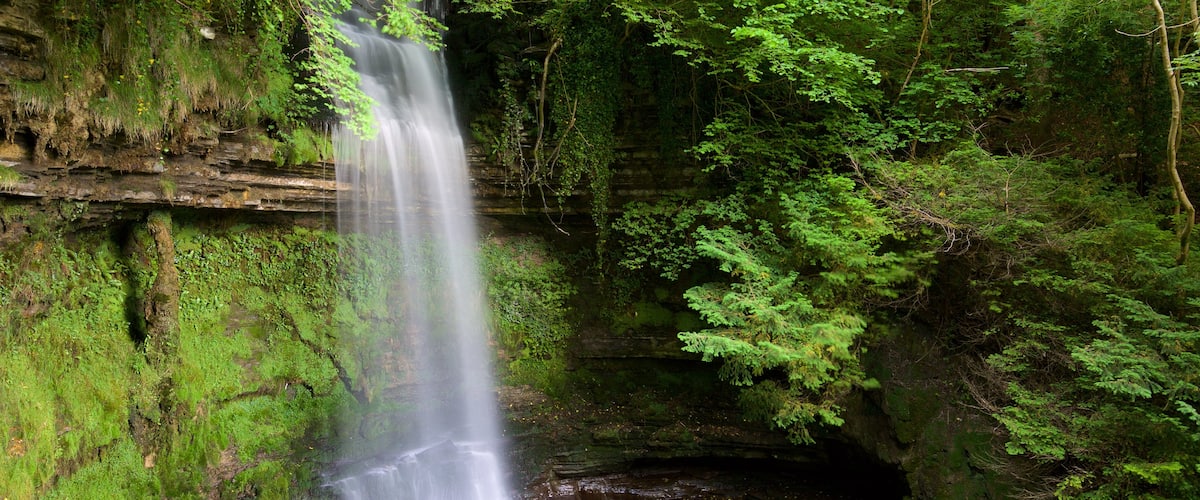 Glencar Waterfall featuring a cascade, forests and a lake or waterhole