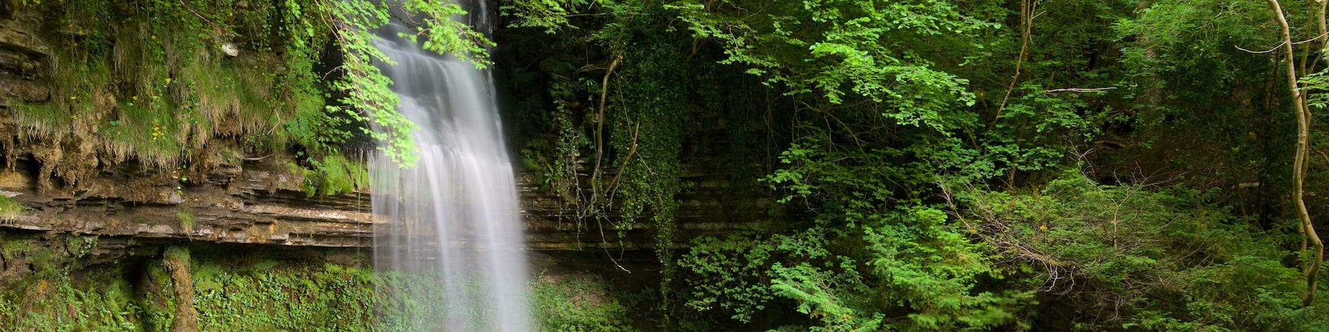 Cascade de Glencar montrant lac ou Ă©tang, cascade et forĂȘts