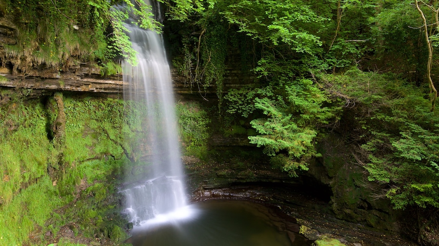Glencar Waterfall featuring a lake or waterhole, forests and a cascade