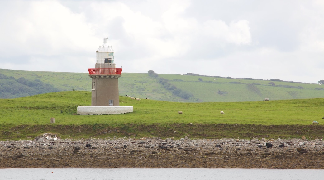 Rosses Point showing tranquil scenes, general coastal views and a lighthouse