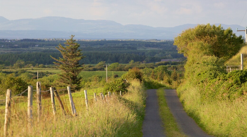 Sligo som visar stillsam natur