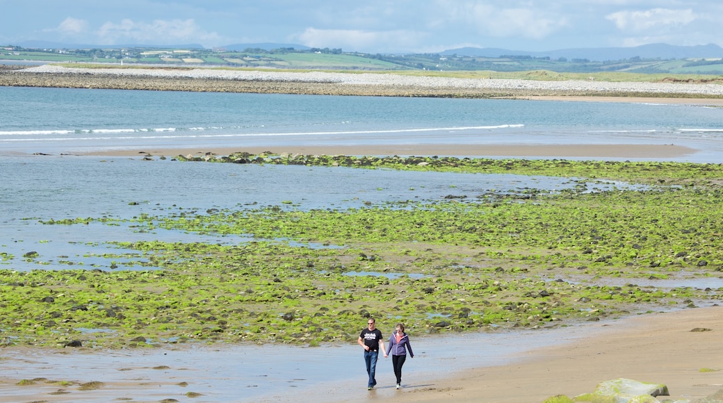 Playa de Strandhill mostrando vista general a la costa y una playa y también una pareja