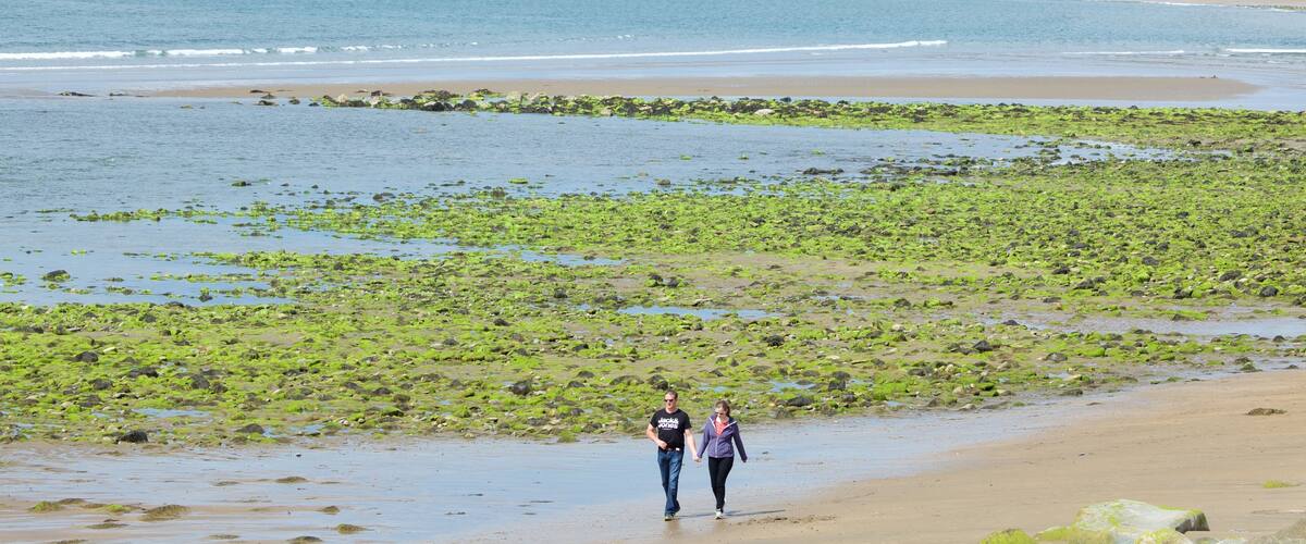 Plage de Strandhill montrant plage et vues littorales aussi bien que couple