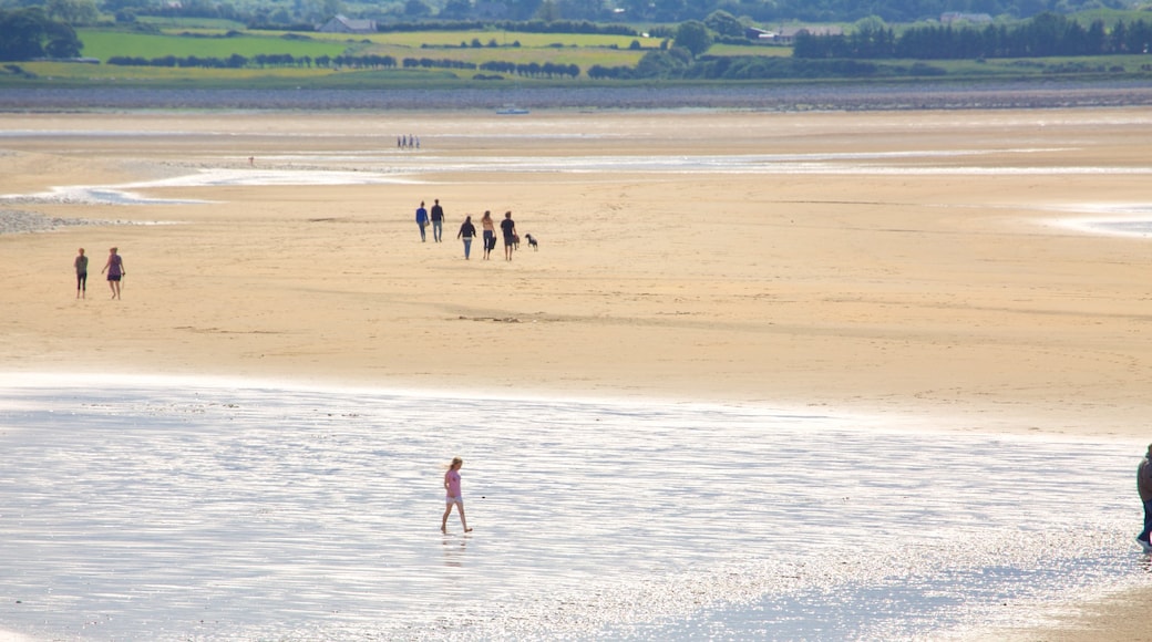 Strandhill Beach which includes general coastal views and a sandy beach as well as a small group of people