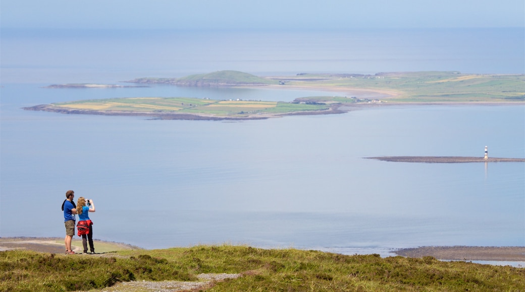 Knocknarea showing general coastal views as well as a couple