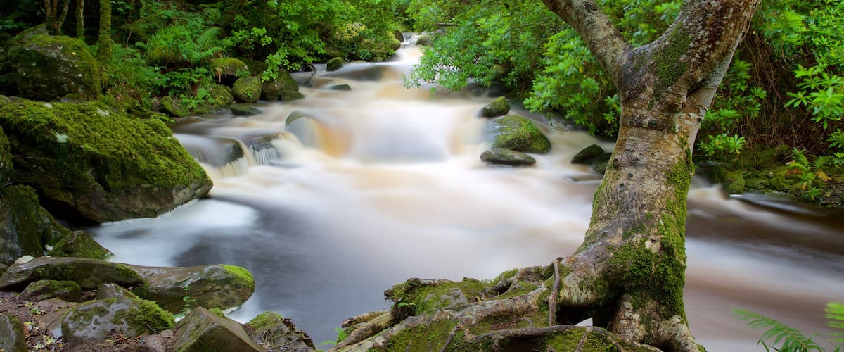 Torc Waterfall