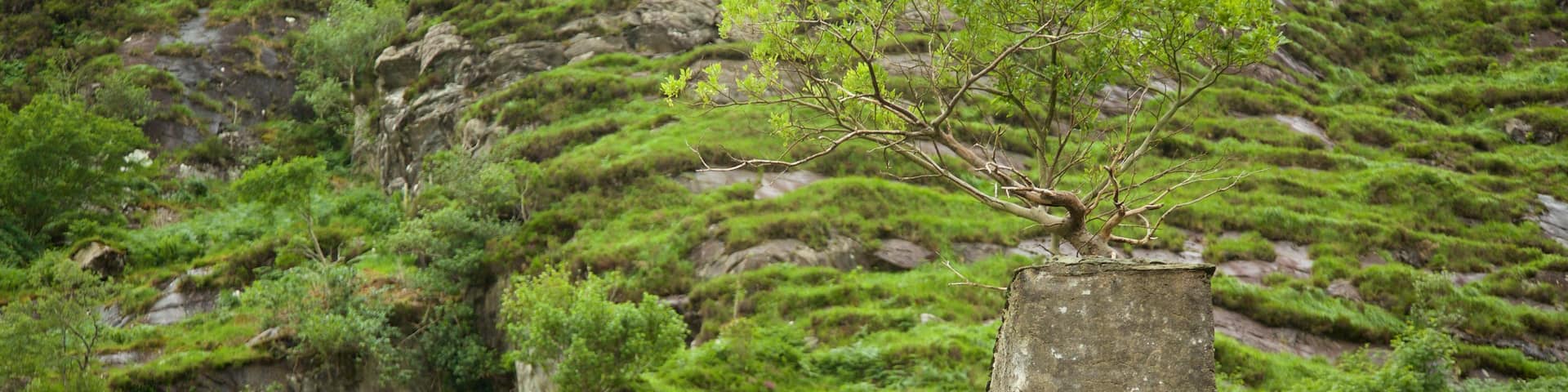 Gap of Dunloe featuring a ruin