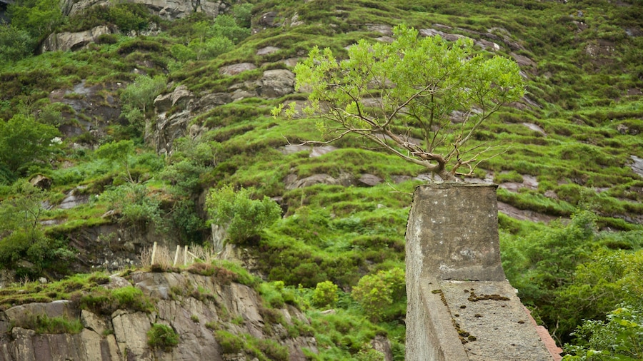Gap of Dunloe which includes building ruins