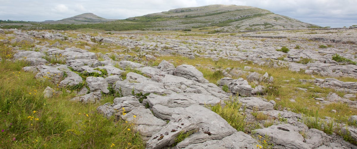 Burren có tính năng cảnh thanh bình