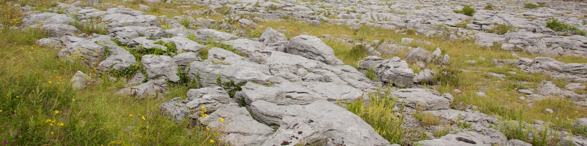 Le Burren qui includes scènes tranquilles