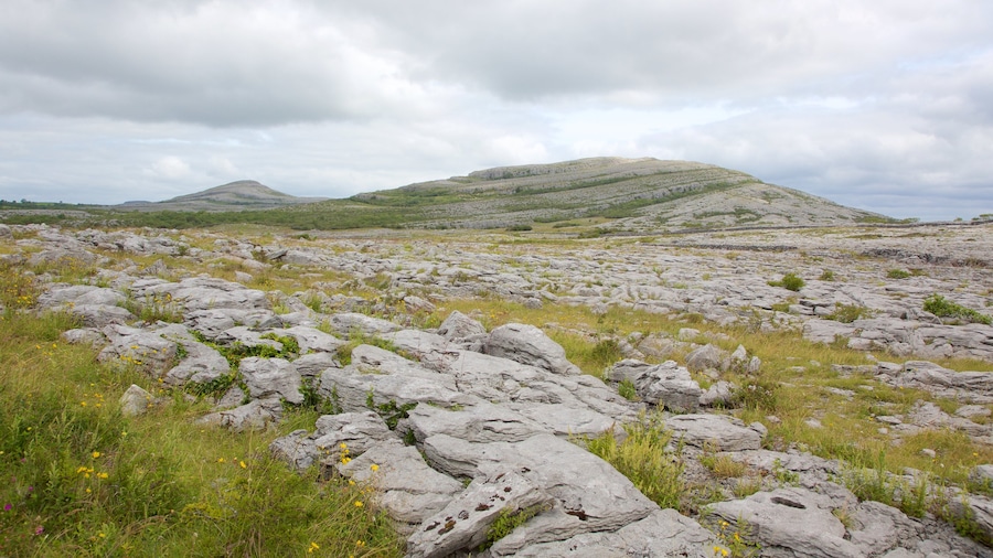 The Burren bevat vredige uitzichten