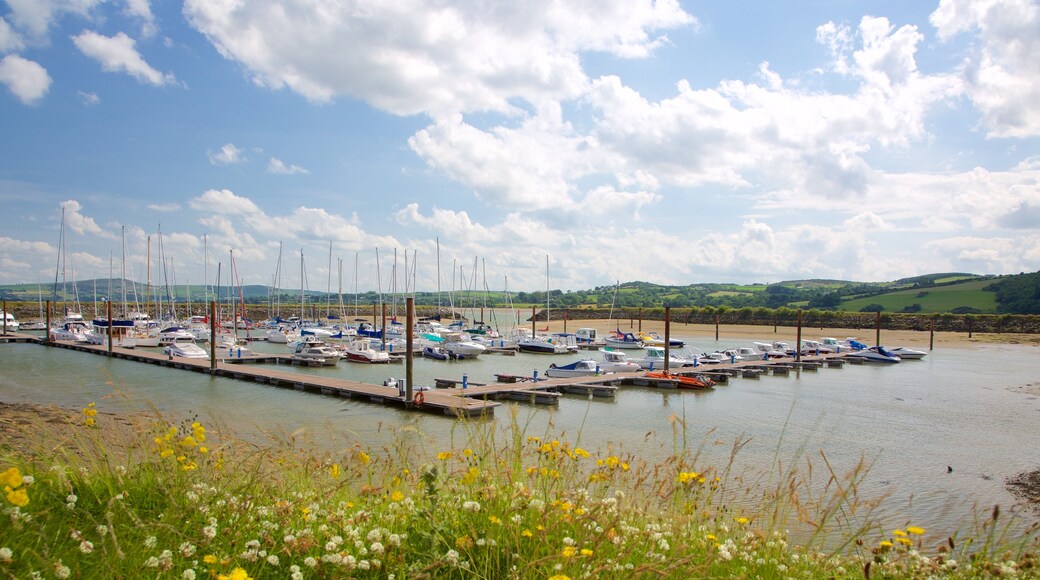 Fahan showing wild flowers, a marina and a bay or harbour