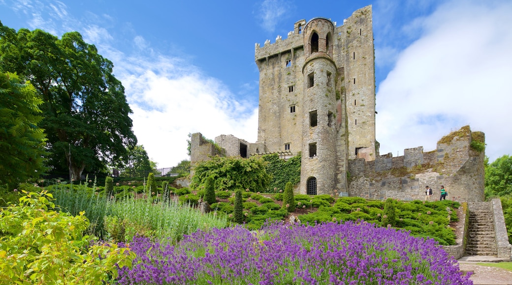 Castillo de Blarney mostrando patrimonio de arquitectura, elementos del patrimonio y un castillo