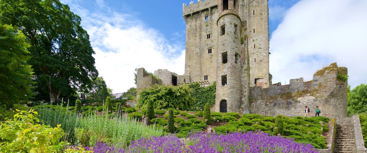 Blarney Castle showing chateau or palace, heritage architecture and heritage elements