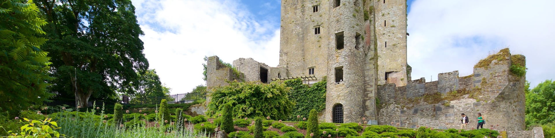 Blarney Castle showing chateau or palace, heritage architecture and heritage elements