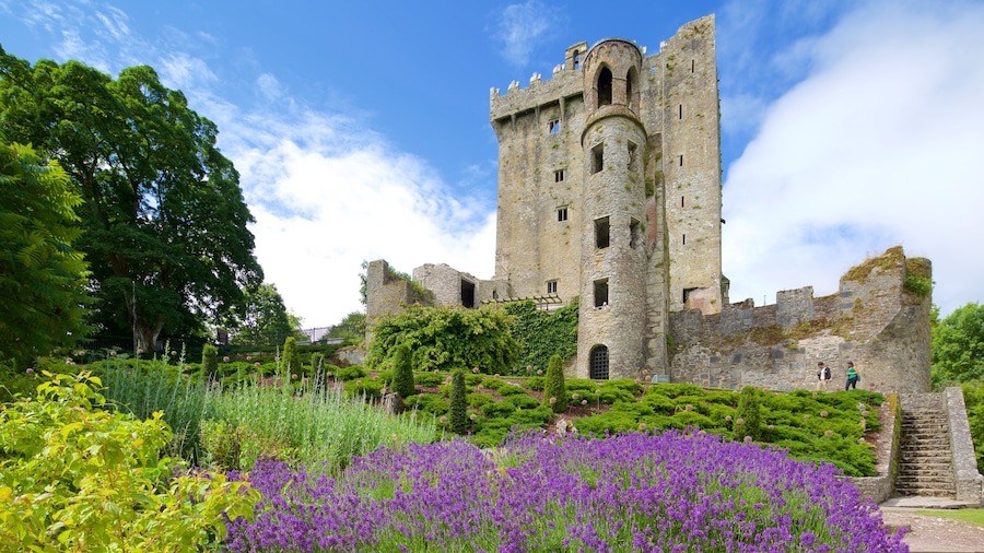 Castillo de Blarney mostrando patrimonio de arquitectura, elementos del patrimonio y un castillo