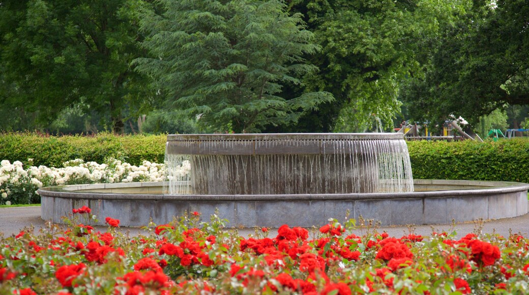 Tralee Town Park showing flowers, a fountain and a park