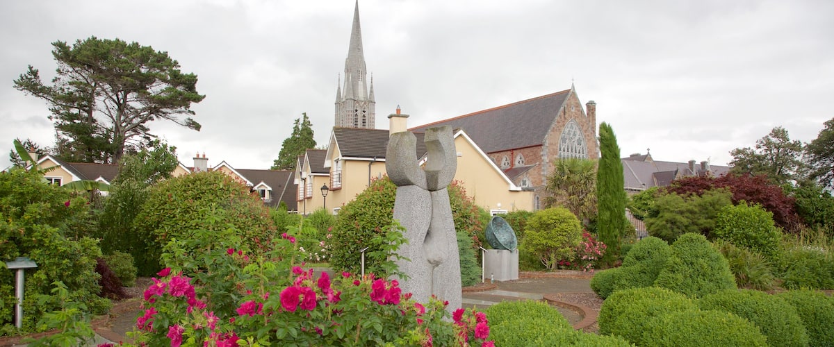 Tralee Town Park showing a statue or sculpture, flowers and a park