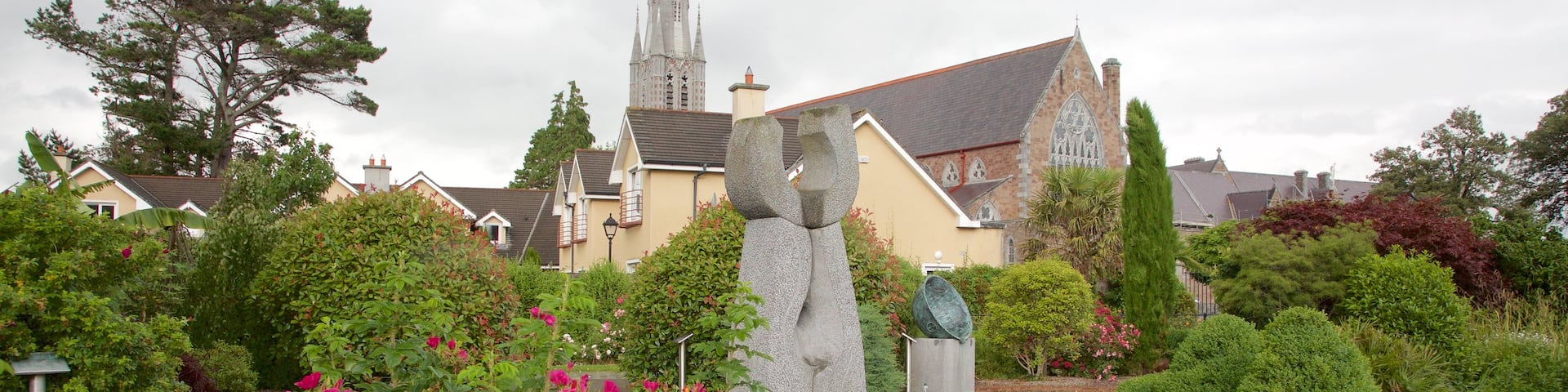Tralee Town Park showing a statue or sculpture, flowers and a park