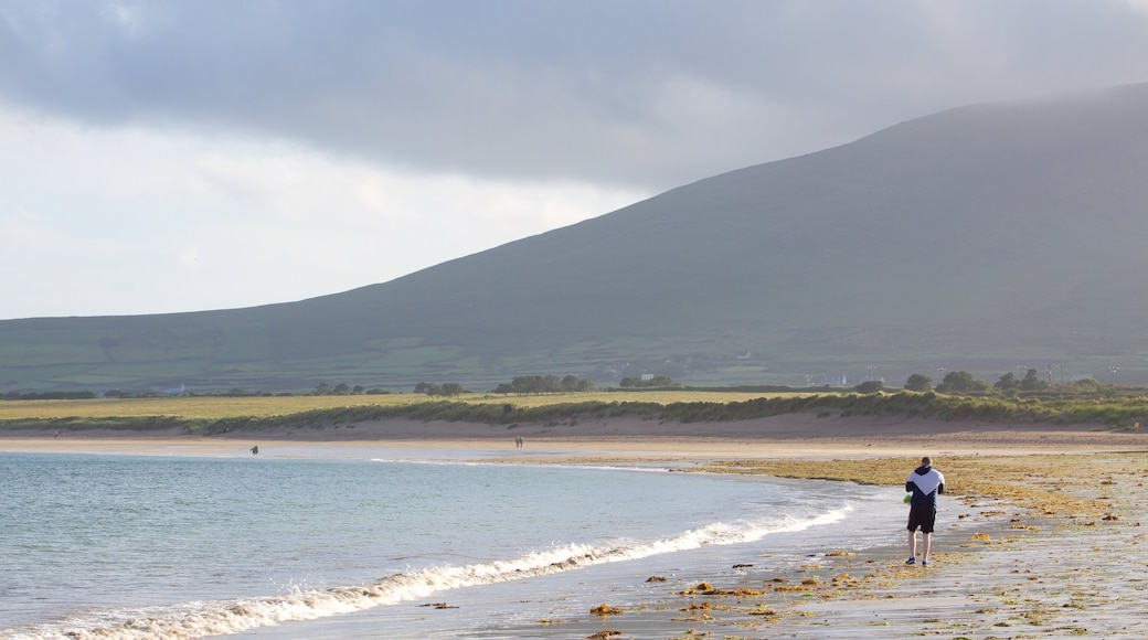 Ventry Beach welches beinhaltet allgemeine Küstenansicht, Felsküste und ruhige Szenerie