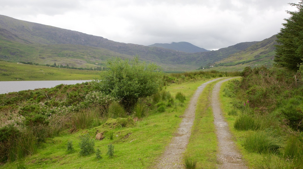 Glencar mostrando vista panorámica, escenas tranquilas y un río o arroyo