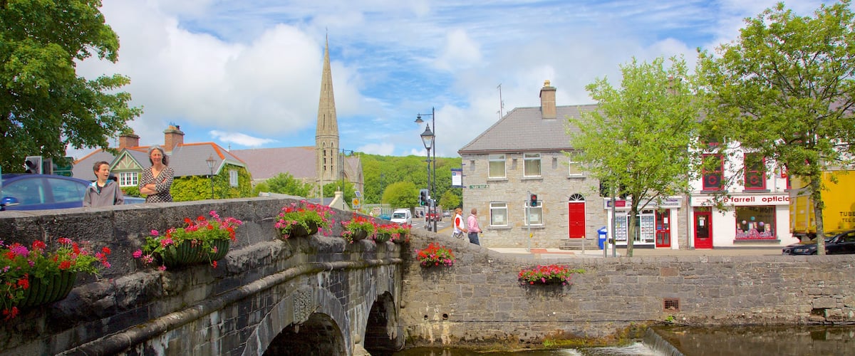 Westport featuring flowers, a bridge and heritage elements