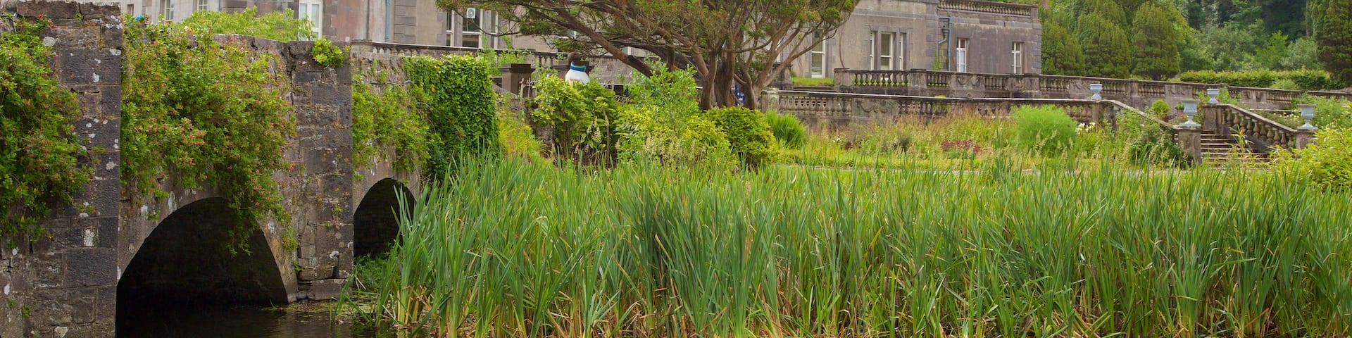 Westport House featuring château or palace, a river or creek and a bridge
