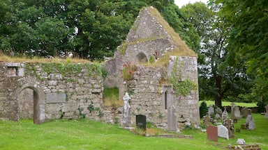 Lough Gur which includes a cemetery, a church or cathedral and a ruin